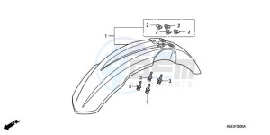 CRF150R9 Europe Direct - (ED) drawing FRONT FENDER