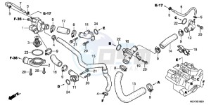 VFR800XC drawing WATER HOSE