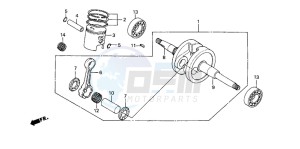 SH50 drawing CRANKSHAFT/PISTON