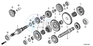 TRX420FPMB drawing TRANSMISSION