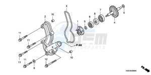 CRF150R9 Australia - (U) drawing WATER PUMP