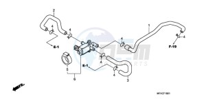 CBF1000A F / CMF drawing AIR INJECTION CONTROL VALVE