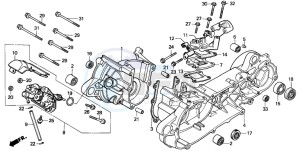 SH50D SCOOPY drawing CRANKCASE/OIL PUMP