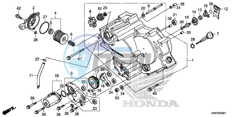 FRONT CRANKCASE COVER (TRX420FE1/FM1/FM2/TE1/TM1)