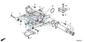 TRX500FE2F TRX500F Europe Direct - (ED) drawing SWINGARM