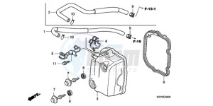 SCV100F9 Australia - (U) drawing CYLINDER HEAD COVER