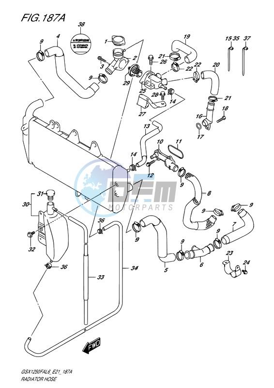 RADIATOR HOSE