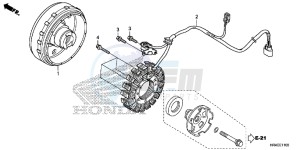 TRX500FE2G TRX500 Europe Direct - (ED) drawing GENERATOR