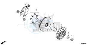 NSS125DF Forza 125 - NSS125D Europe Direct - (ED) drawing DRIVE FACE