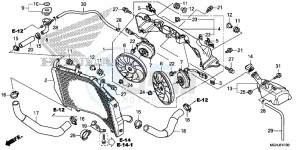 VFR1200X Europe Direct - (ED) drawing RADIATOR