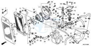 VT750CSC drawing RADIATOR (VT750C2B/ C2S/ CS/ C/ CA)