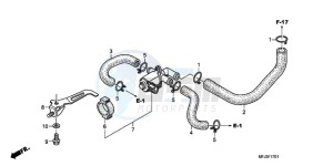 CBR600RAA Europe Direct - (ED / ABS) drawing AIR INJECTION CONTROL VALVE