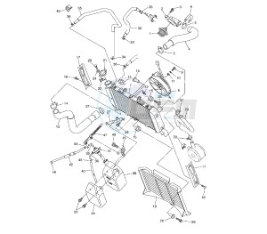 FZ6 S2 600 drawing RADIATOR AND HOSE