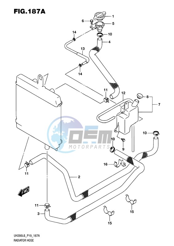 RADIATOR HOSE