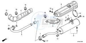 TRX420TMC drawing EXHAUST MUFFLER