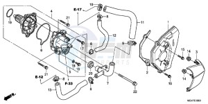 CBR600FAC drawing WATER PUMP