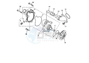 TRX 850 drawing WATER PUMP