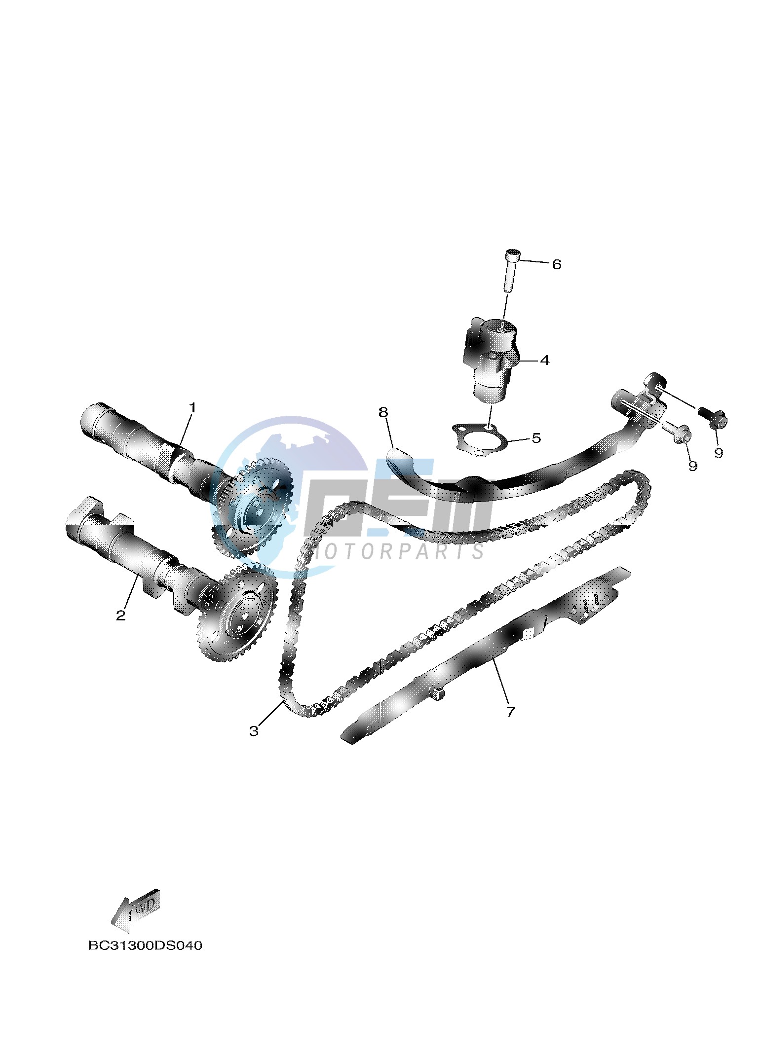 CAMSHAFT & CHAIN