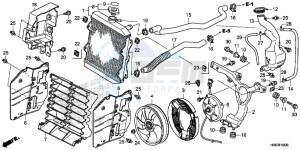 TRX500FA6H Europe Direct - (ED) drawing RADIATOR