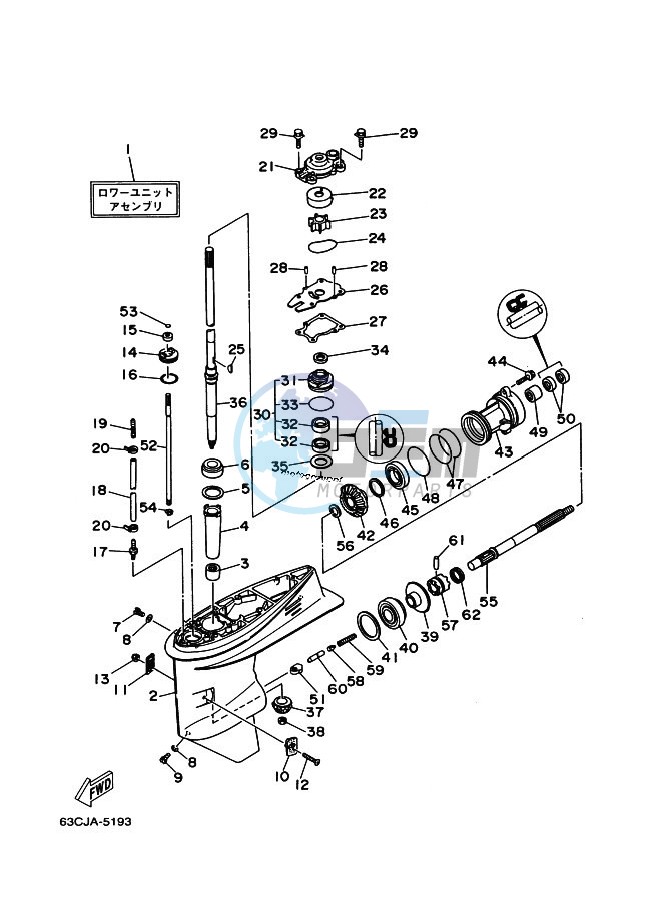 LOWER-CASING-x-DRIVE-1