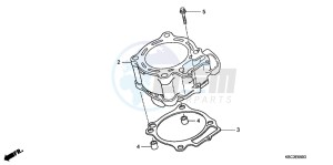 CRF250XC drawing CYLINDER