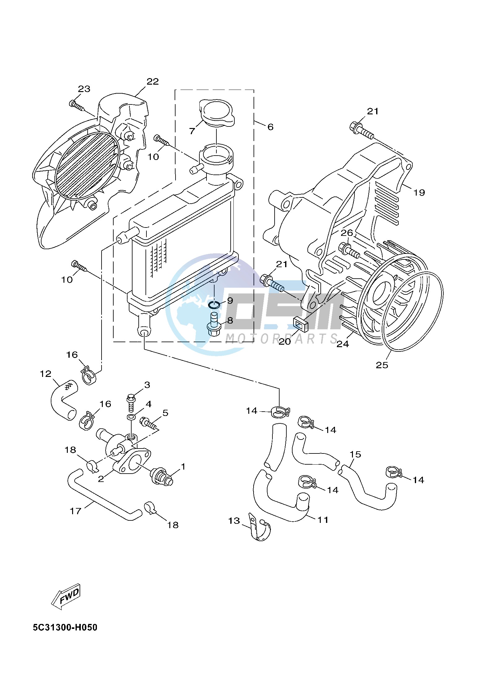 RADIATOR & HOSE