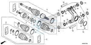 TRX500FM5H Europe Direct - (ED) drawing REAR KNUCKLE/REAR DRIVESHAFT