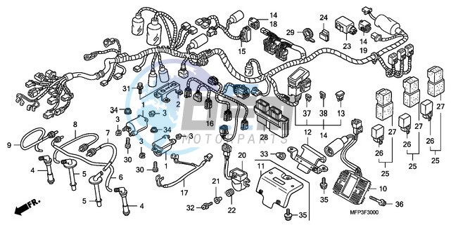 WIRE HARNESS/IGNITION COIL (CB1300/CB1300A)