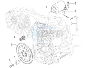 X Evo 250 Euro 3 drawing Stater - Electric starter