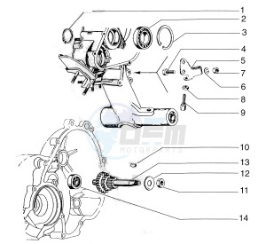 50 FL2 drawing Gear box primary