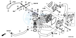 VFR1200XD CrossTourer - VFR1200X Dual Clutch 2ED - (2ED) drawing WATER PUMP