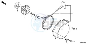 TRX500FED TRX500FE Europe Direct - (ED) drawing RECOIL STARTER