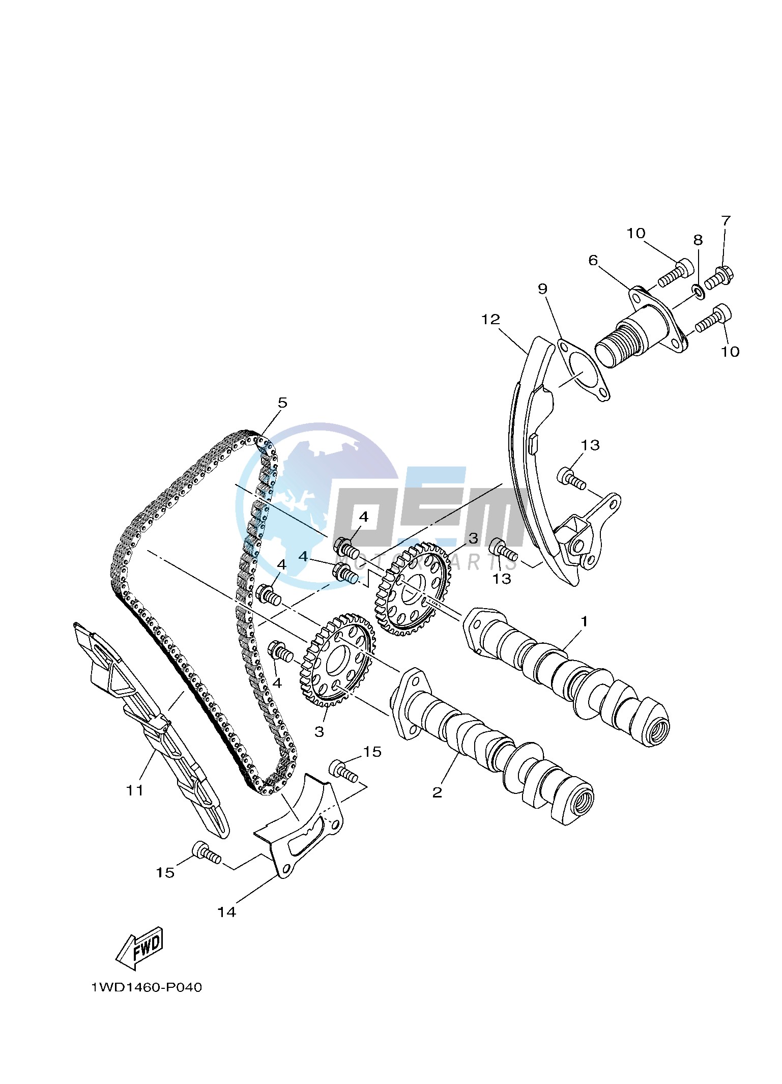 CAMSHAFT & CHAIN