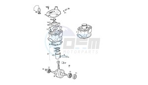 SENDA R X-RACE - 50 CC VTHSR1D1A EU2 drawing CRANKSHAFT - CYLINDER - CYLINDER HEAD