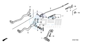 CRF230F9 Australia - (U) drawing PEDAL