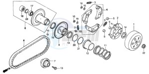 PK50 WALLAROO drawing CLUTCH/DRIVEN FACE