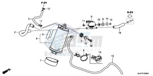 CB500F Europe Direct - (ED) drawing CANISTER