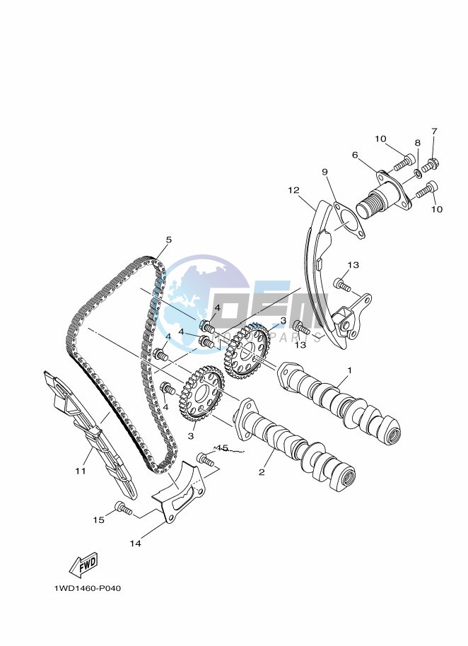 CAMSHAFT & CHAIN