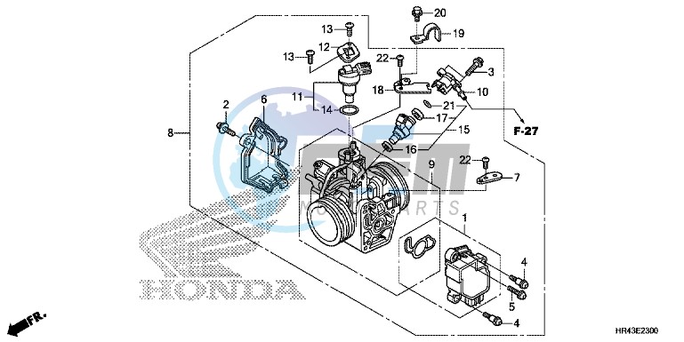 THROTTLE BODY