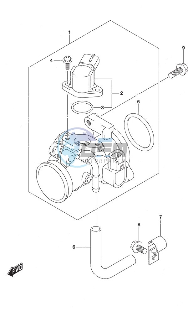 Throttle Body Non-Remote Control