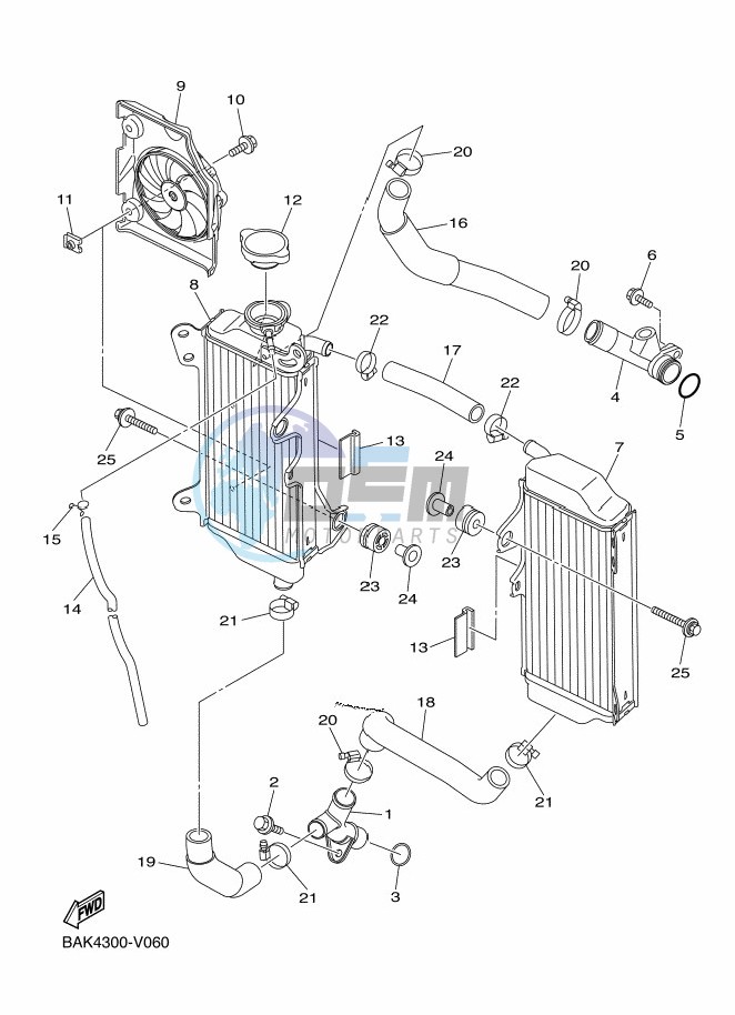 RADIATOR & HOSE