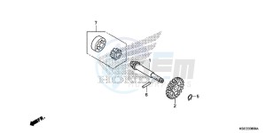 CRF150RE CRF150R Europe Direct - (ED) drawing OIL PUMP