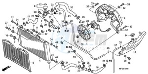 CB600F3A France - (F / CMF ST) drawing RADIATOR