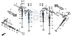 XL600V TRANSALP drawing CAMSHAFT/VALVE