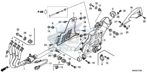 CBR1000RRG CBR1000 - Fireblade Europe Direct - (ED) drawing EXHAUST MUFFLER