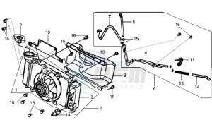 HD 125 EVO drawing RADIATOR