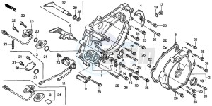 TRX350FM FOURTRAX 350 4X4 drawing REAR CRANKCASE COVER