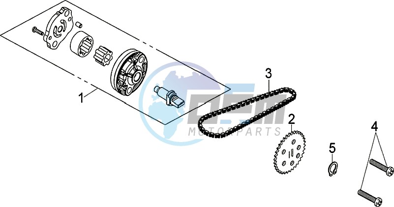 OIL PUMP / DRIVE BELT OIL PUMP