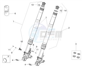 TUONO 1100 V4 RF E4 ABS (NAFTA) drawing Front fork