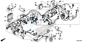 TRX420TE1E TRX420 ED drawing WIRE HARNESS